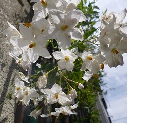 f:id:cangael:20130627094217j:image:right f:id:cangael:20130627094217j:image:right