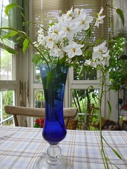 f:id:cangael:20130628085426j:image