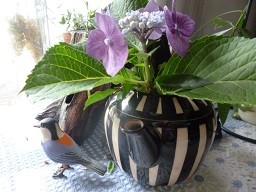 f:id:cangael:20130708113205j:image:left