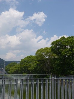 f:id:cangael:20130708124228j:image:left