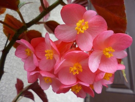 f:id:cangael:20130715111538j:image:right