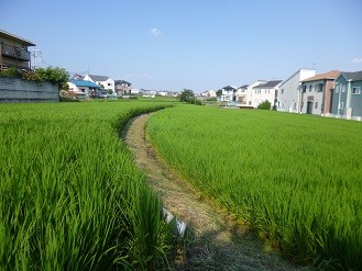 f:id:cangael:20130811154002j:image:left