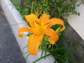 f:id:cangael:20130913141029j:image:right