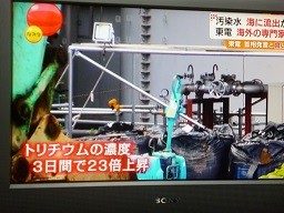 f:id:cangael:20130913180209j:image f:id:cangael:20130913180209j:image