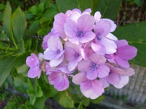 f:id:cangael:20130918151222j:image:left