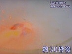 f:id:cangael:20131004214255j:image:left