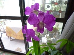 f:id:cangael:20131025140928j:image:right f:id:cangael:20131025140928j:image:right