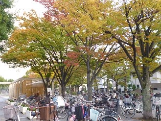 f:id:cangael:20131102154047j:image f:id:cangael:20131102154047j:image