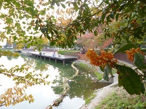 f:id:cangael:20131102154729j:image:right