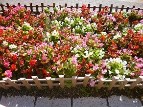 f:id:cangael:20131114110230j:image:left