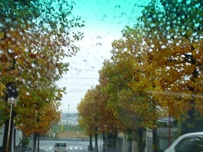 f:id:cangael:20131115105229j:image:right