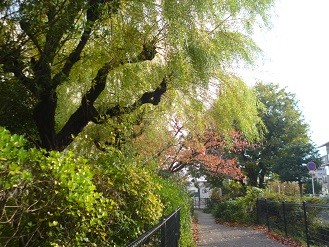 f:id:cangael:20131120135309j:image:right f:id:cangael:20131120135309j:image:right