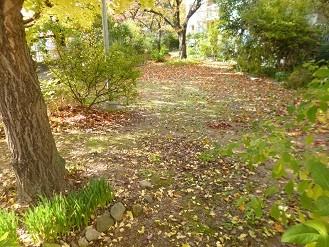 f:id:cangael:20131120135503j:image:right f:id:cangael:20131120135503j:image:right