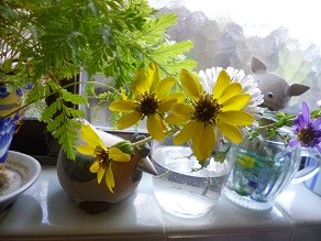 f:id:cangael:20131121130116j:image:left