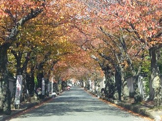 f:id:cangael:20131123113804j:image:right f:id:cangael:20131123113804j:image:right