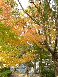 f:id:cangael:20131206130224j:image:right