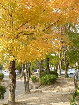 f:id:cangael:20131206130239j:image:left