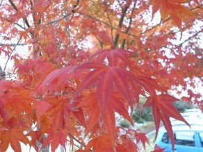 f:id:cangael:20131208160314j:image:right