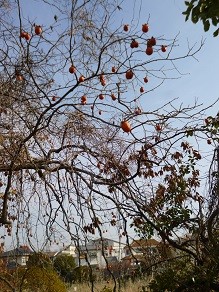 f:id:cangael:20140112105759j:image