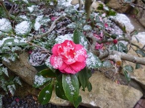 f:id:cangael:20140119084007j:image f:id:cangael:20140119084007j:image