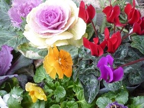 f:id:cangael:20140121140604j:image:right