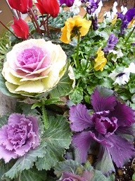 f:id:cangael:20140121140700j:image:right