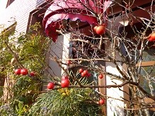 f:id:cangael:20140121142710j:image:right