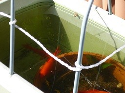 f:id:cangael:20140127135055j:image:left f:id:cangael:20140127135055j:image:left