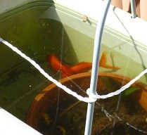 f:id:cangael:20140127135058j:image:right