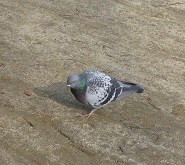 f:id:cangael:20140210143302j:image f:id:cangael:20140210143302j:image