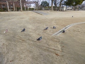 f:id:cangael:20140210143343j:image:left f:id:cangael:20140210143343j:image:left