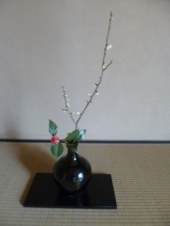 f:id:cangael:20140213155236j:image