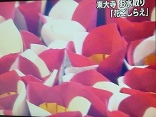 f:id:cangael:20140223184843j:image:left