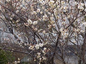 f:id:cangael:20140226154351j:image:right