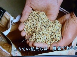 f:id:cangael:20140308235044j:image