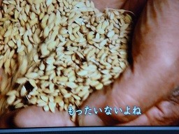 f:id:cangael:20140308235048j:image