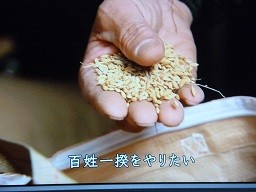 f:id:cangael:20140308235057j:image