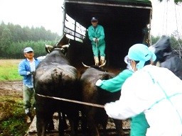 f:id:cangael:20140309000411j:image