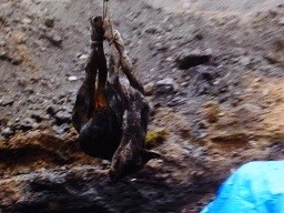 f:id:cangael:20140309000449j:image