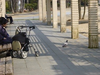 f:id:cangael:20140317111352j:image