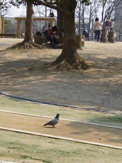 f:id:cangael:20140317111518j:image