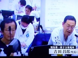 f:id:cangael:20140318164235j:image:left f:id:cangael:20140318164235j:image:left