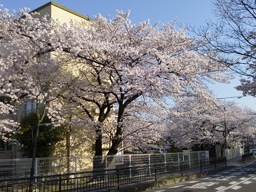 f:id:cangael:20140401161112j:image
