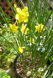 f:id:cangael:20140407113135j:image:right f:id:cangael:20140407113135j:image:right