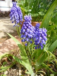 f:id:cangael:20140407114215j:image:right