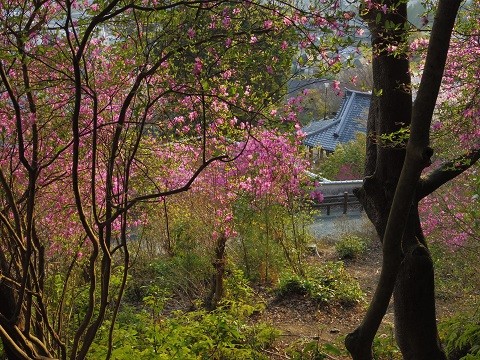 f:id:cangael:20140409050818j:image