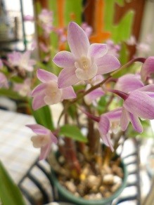 f:id:cangael:20140412114325j:image:right f:id:cangael:20140412114325j:image:right