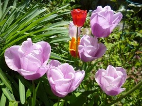 f:id:cangael:20140414112002j:image:right f:id:cangael:20140414112002j:image:right