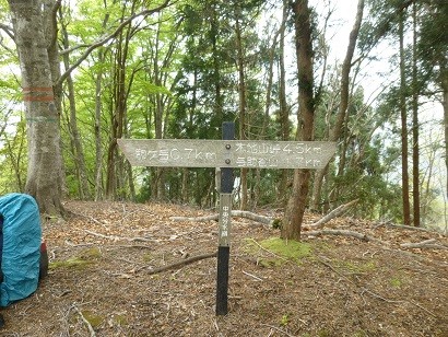 f:id:cangael:20140503124055j:image:left