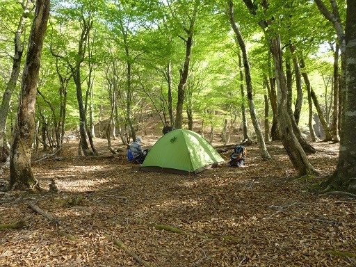 f:id:cangael:20140503154643j:image